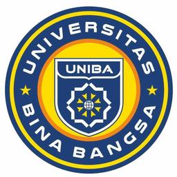 Bina Nations University