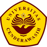 Cenderawasih University