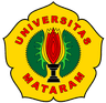 Universitas Mataram