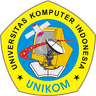 Indonesia Computer University