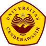Cenderawasih University