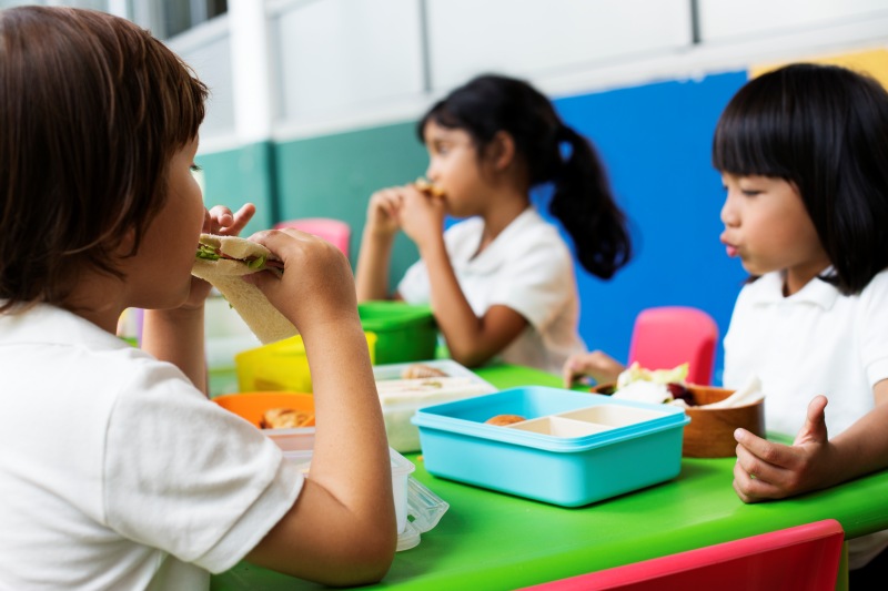 Program Makan Bergizi Gratis di Indonesia Butuh Evaluasi Total